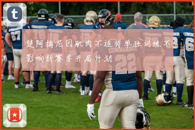 楚阿梅尼因肌肉不适将单独训练不影响新赛季开局计划