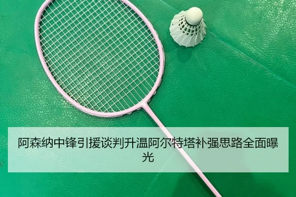 阿森纳中锋引援谈判升温阿尔特塔补强思路全面曝光（LEYU.COMapp）